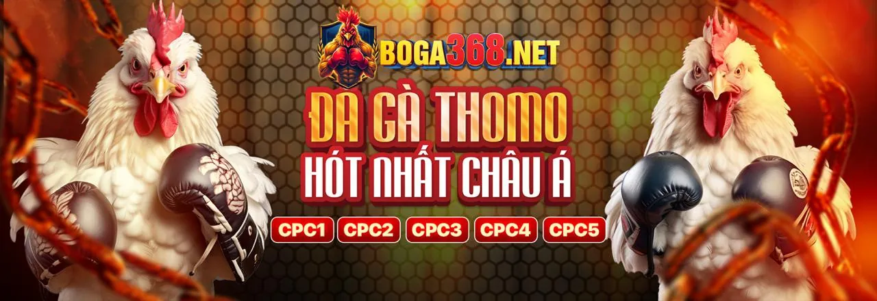 Tổng quan các tiêu chí lựa chọn nền tảng game bài đổi thưởng VSBET đáng tin cậy