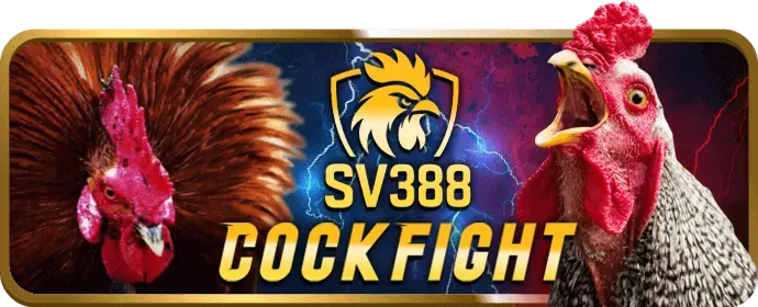 Hỗ trợ 24/7 của game bài đổi thưởng vsbet
