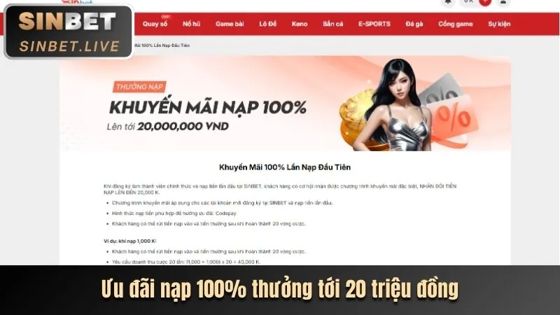 Chương Trình VIP Độc Quyền VSbet